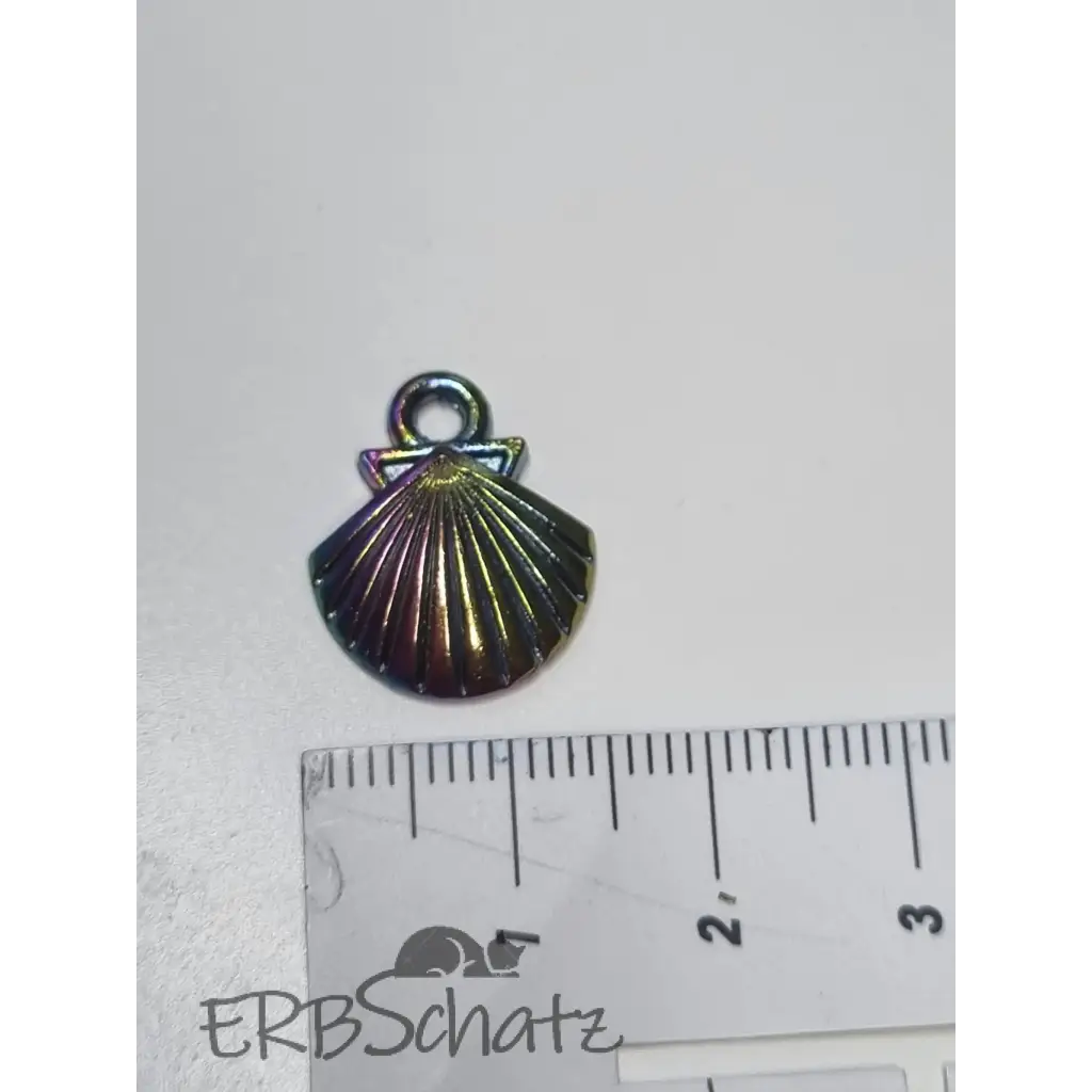 Anhänger/Charm Rainbow diverse Muscheln