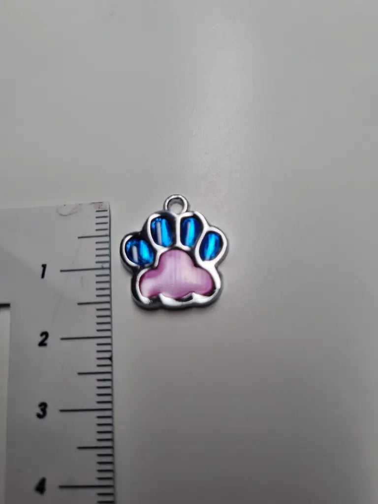 Anhänger/Charm Pfote Bunt Silber