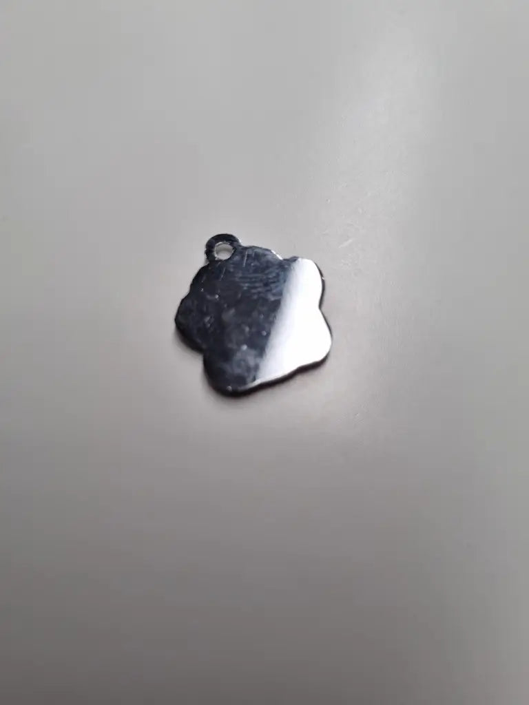 Anhänger/Charm Pfote Bunt Silber