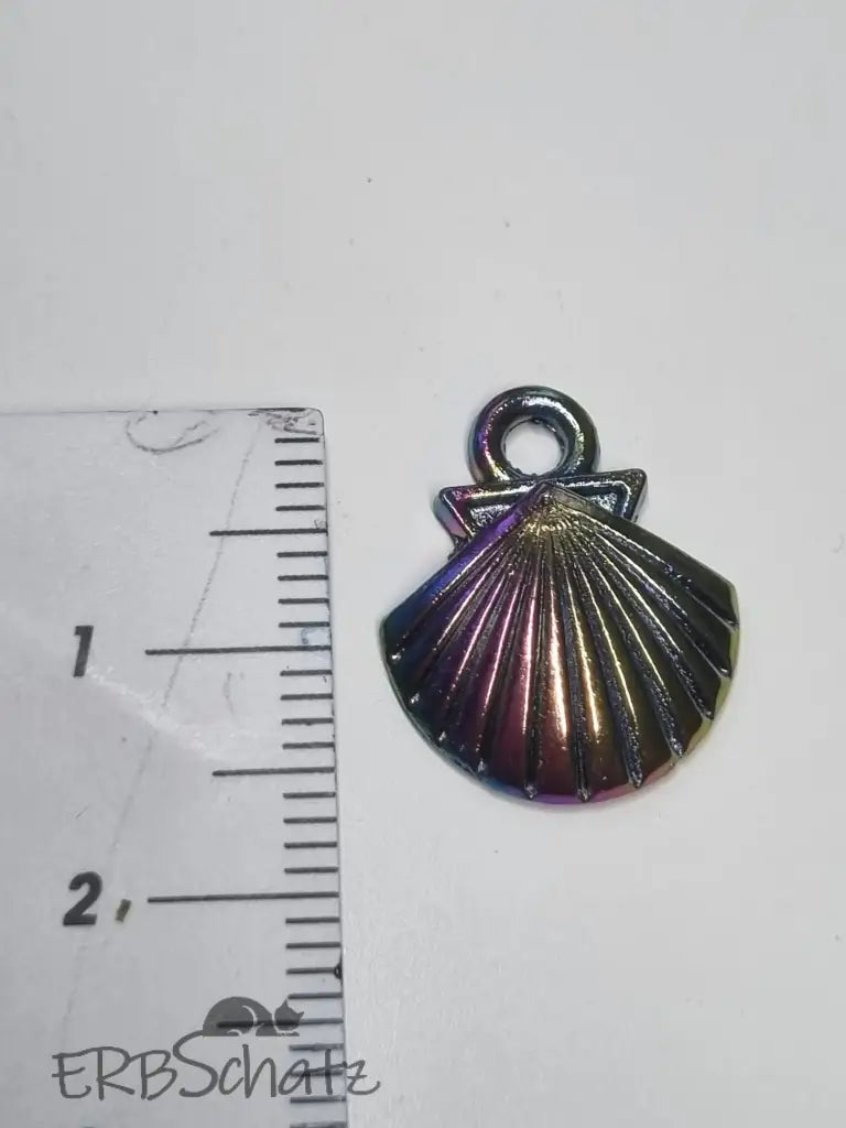 Anhänger/Charm Rainbow diverse Muscheln - reißverschluss