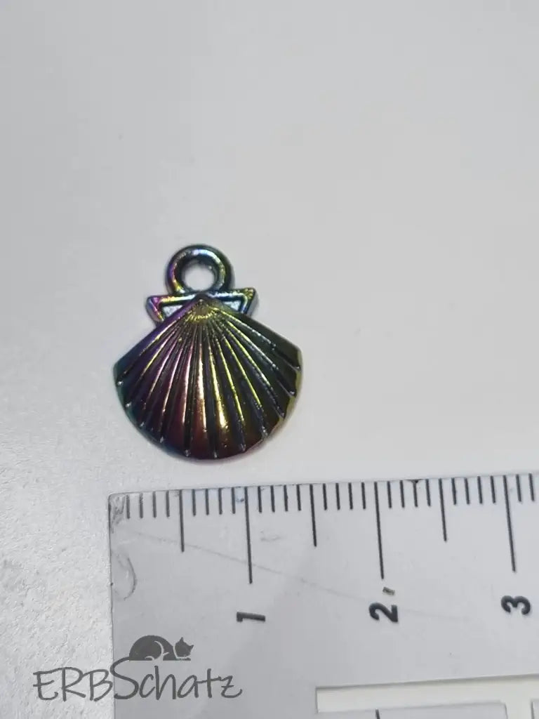 Anhänger/Charm Rainbow diverse Muscheln - reißverschluss