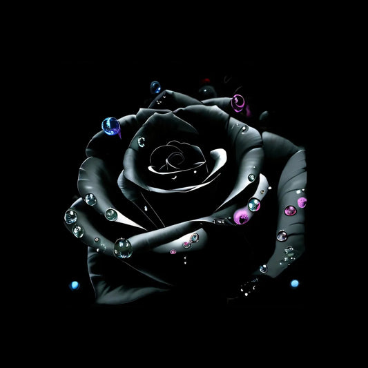 Kunstleder Panel Black Rose | Größenauswahl - P15 P20 P25