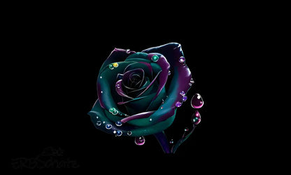 Kunstleder Panele Classic Rose Collection - P30 P25 PP