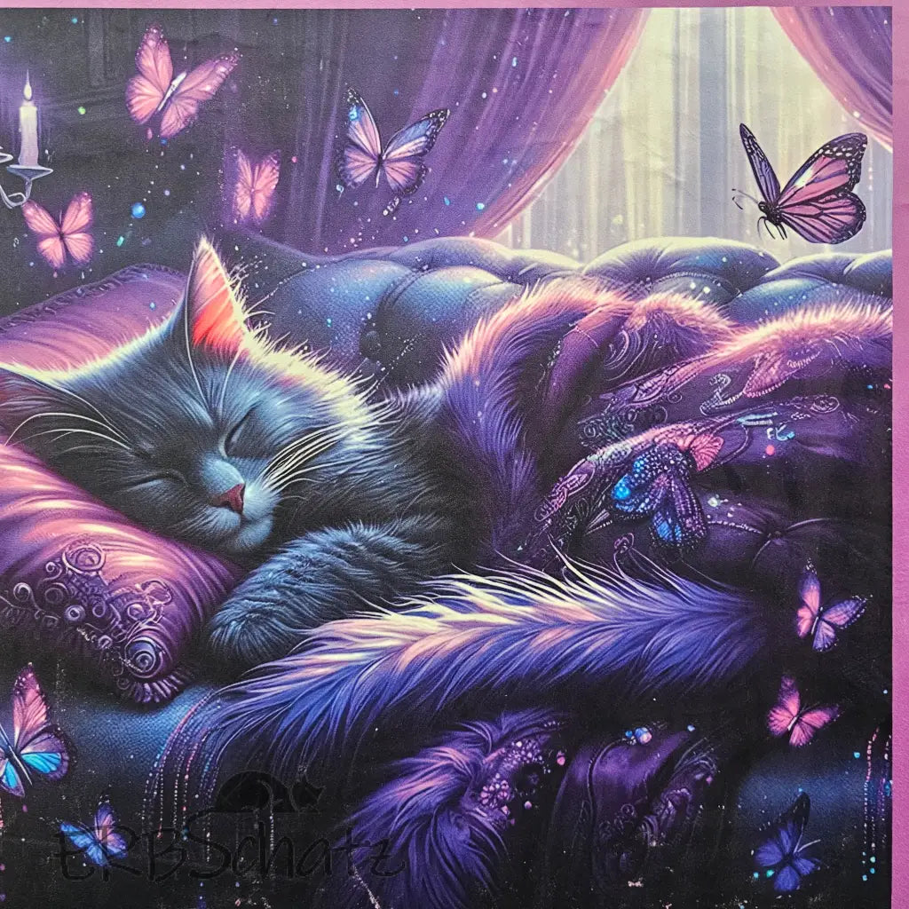 Kuschelkissen Panelset | 50x50 cm Kissenbezug - Katze