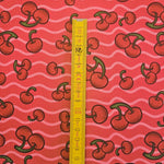 Wasserabweisender Canvas/Oxford | Cherry Vibes | 0,5m
